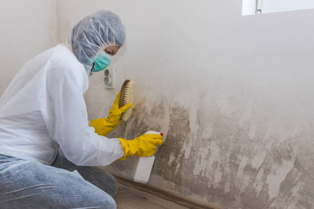 Mold Remediation for Vacation Homes in Parsippany, NJ